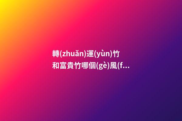轉(zhuǎn)運(yùn)竹和富貴竹哪個(gè)風(fēng)水更好，擺放竹子的講究
